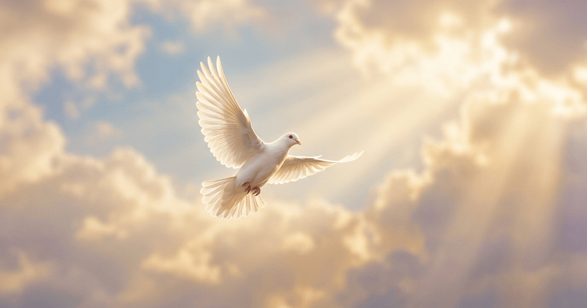 Una paloma blanca en vuelo a través de la luz dorada entre nubes suaves